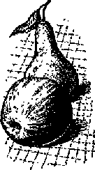 Что я видел (сборник) (с илл.) i_309.png