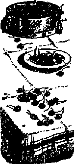 Что я видел (сборник) (с илл.) i_311.png