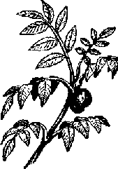 Что я видел (сборник) (с илл.) i_312.png