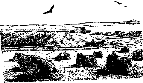 Что я видел (сборник) (с илл.) i_314.png