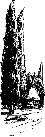 Что я видел (сборник) (с илл.) i_315.png