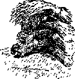 Что я видел (сборник) (с илл.) i_319.png