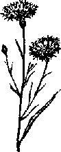 Что я видел (сборник) (с илл.) i_320.png