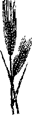 Что я видел (сборник) (с илл.) i_321.png