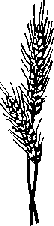 Что я видел (сборник) (с илл.) i_322.png