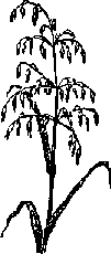 Что я видел (сборник) (с илл.) i_323.png