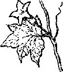 Что я видел (сборник) (с илл.) i_328.png