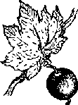Что я видел (сборник) (с илл.) i_329.png