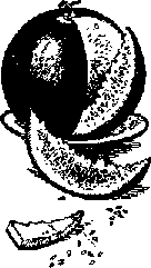 Что я видел (сборник) (с илл.) i_330.png