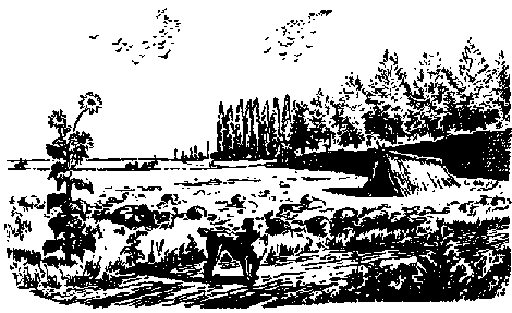Что я видел (сборник) (с илл.) i_331.png
