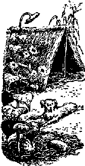 Что я видел (сборник) (с илл.) i_332.png