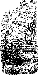 Что я видел (сборник) (с илл.) i_334.png