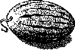 Что я видел (сборник) (с илл.) i_338.png