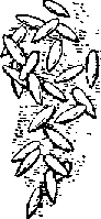 Что я видел (сборник) (с илл.) i_339.png
