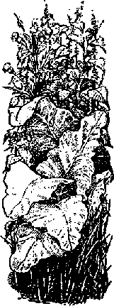 Что я видел (сборник) (с илл.) i_342.png