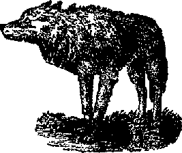 Что я видел (сборник) (с илл.) i_345.png
