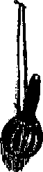 Что я видел (сборник) (с илл.) i_346.png