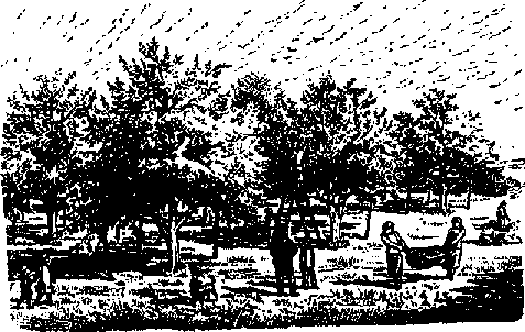 Что я видел (сборник) (с илл.) i_347.png