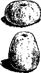 Что я видел (сборник) (с илл.) i_351.png