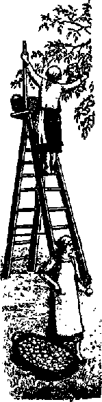 Что я видел (сборник) (с илл.) i_352.png