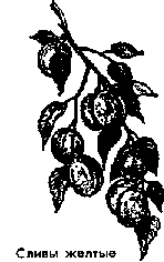 Что я видел (сборник) (с илл.) i_356.png