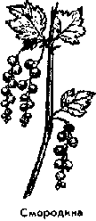 Что я видел (сборник) (с илл.) i_359.png