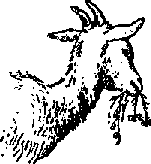 Что я видел (сборник) (с илл.) i_367.png