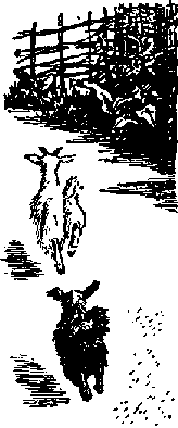 Что я видел (сборник) (с илл.) i_369.png