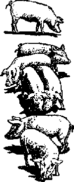 Что я видел (сборник) (с илл.) i_372.png