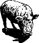 Что я видел (сборник) (с илл.) i_373.png
