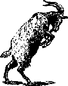 Что я видел (сборник) (с илл.) i_374.png
