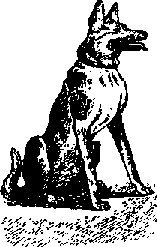 Что я видел (сборник) (с илл.) i_375.png