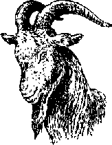 Что я видел (сборник) (с илл.) i_376.png