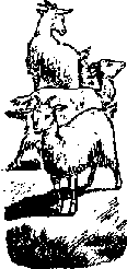 Что я видел (сборник) (с илл.) i_377.png