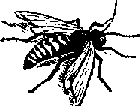 Что я видел (сборник) (с илл.) i_383.png