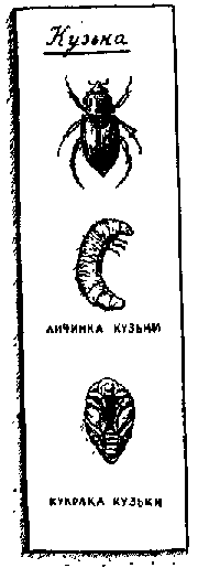 Что я видел (сборник) (с илл.) i_386.png