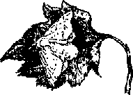 Что я видел (сборник) (с илл.) i_387.png