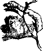Что я видел (сборник) (с илл.) i_388.png
