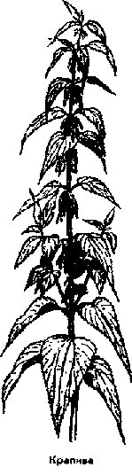Что я видел (сборник) (с илл.) i_389.png