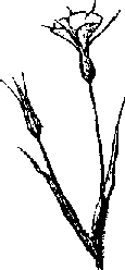 Что я видел (сборник) (с илл.) i_391.png