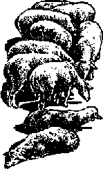 Что я видел (сборник) (с илл.) i_392.png
