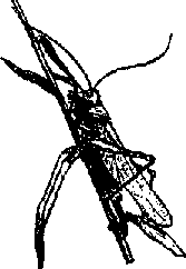 Что я видел (сборник) (с илл.) i_393.png