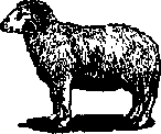 Что я видел (сборник) (с илл.) i_394.png
