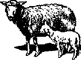 Что я видел (сборник) (с илл.) i_395.png