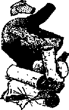 Что я видел (сборник) (с илл.) i_396.png