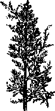 Что я видел (сборник) (с илл.) i_397.png