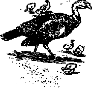 Что я видел (сборник) (с илл.) i_399.png
