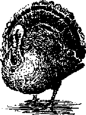 Что я видел (сборник) (с илл.) i_400.png