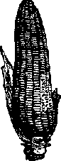 Что я видел (сборник) (с илл.) i_402.png