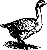 Что я видел (сборник) (с илл.) i_403.png